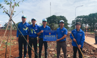 Công trình thanh niên năm 2022: Trồng cây xanh tại xã Phú Lộc, huyện Krông Năng