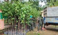 Trồng cây phân tán năm 2023 tại huyện Ea H’leo