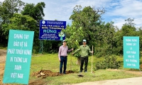 Trồng cây phân tán năm 2023 tại Ban Quản lý Lịch sử – Văn hoá – Môi trường Hồ Lắk