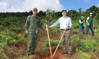 Huyện Krông Buk tổ chức Lễ phát động trồng cây gây rừng năm 2023