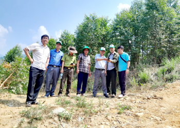 Kiểm tra diện tích đưa vào trồng rừng thay thế năm 2024 tại Ban quản lý rừng phòng hộ Núi Vọng Phu