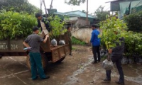 Chương trình hỗ trợ trồng cây phân tán năm 2018  tại xã Dliê Yang, huyện Ea H’leo