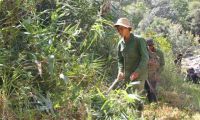 Tin video: Đắk Lắk đẩy mạnh công tác quản lý, bảo vệ rừng