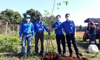 Đoàn thanh niên Quỹ Bảo vệ và Phát triển rừng tỉnh phối hợp với Đoàn thanh niên các địa phương tổ chức trồng cây bảo vệ môi trường