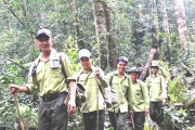 UBND tỉnh triển khai công tác quản lý, bảo vệ và phát triển rừng năm 2024