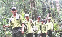 Tăng cường công tác quản lý, bảo vệ rừng