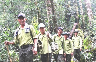UBND tỉnh triển khai công tác quản lý, bảo vệ và phát triển rừng năm 2024