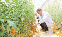 Thúc đẩy phát triển sản phẩm nông nghiệp xanh tại Đắk Lắk