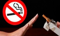 Kế hoạch hưởng ứng “Ngày Thế giới không thuốc lá 31/5 và Tuần lễ Quốc gia không thuốc lá 25-31/5” tại Sở Nông nghiệp và PTNT