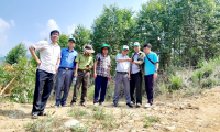 Kiểm tra diện tích đưa vào trồng rừng thay thế năm 2024 tại Ban quản lý rừng phòng hộ Núi Vọng Phu